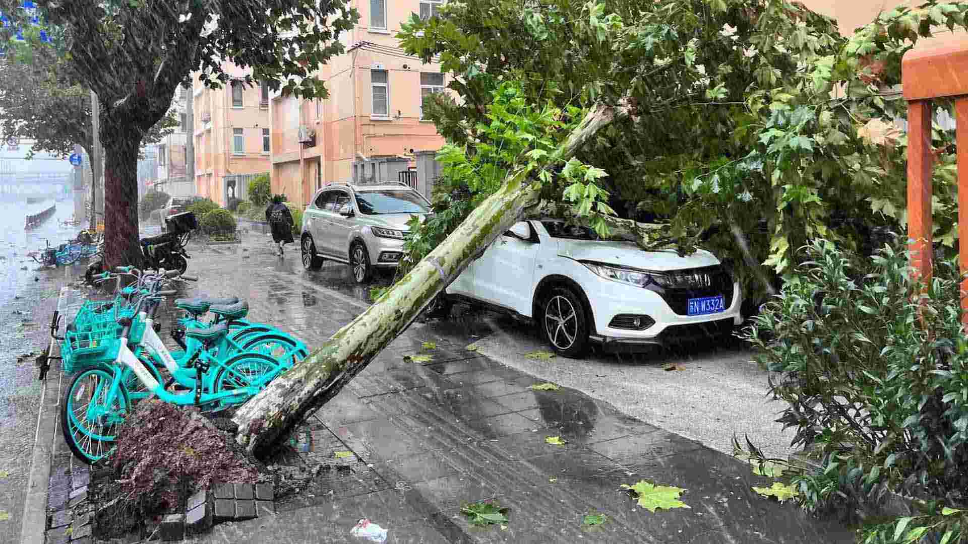 Typhoon Bebinca forces evacuation of over 400,000 in Shanghai